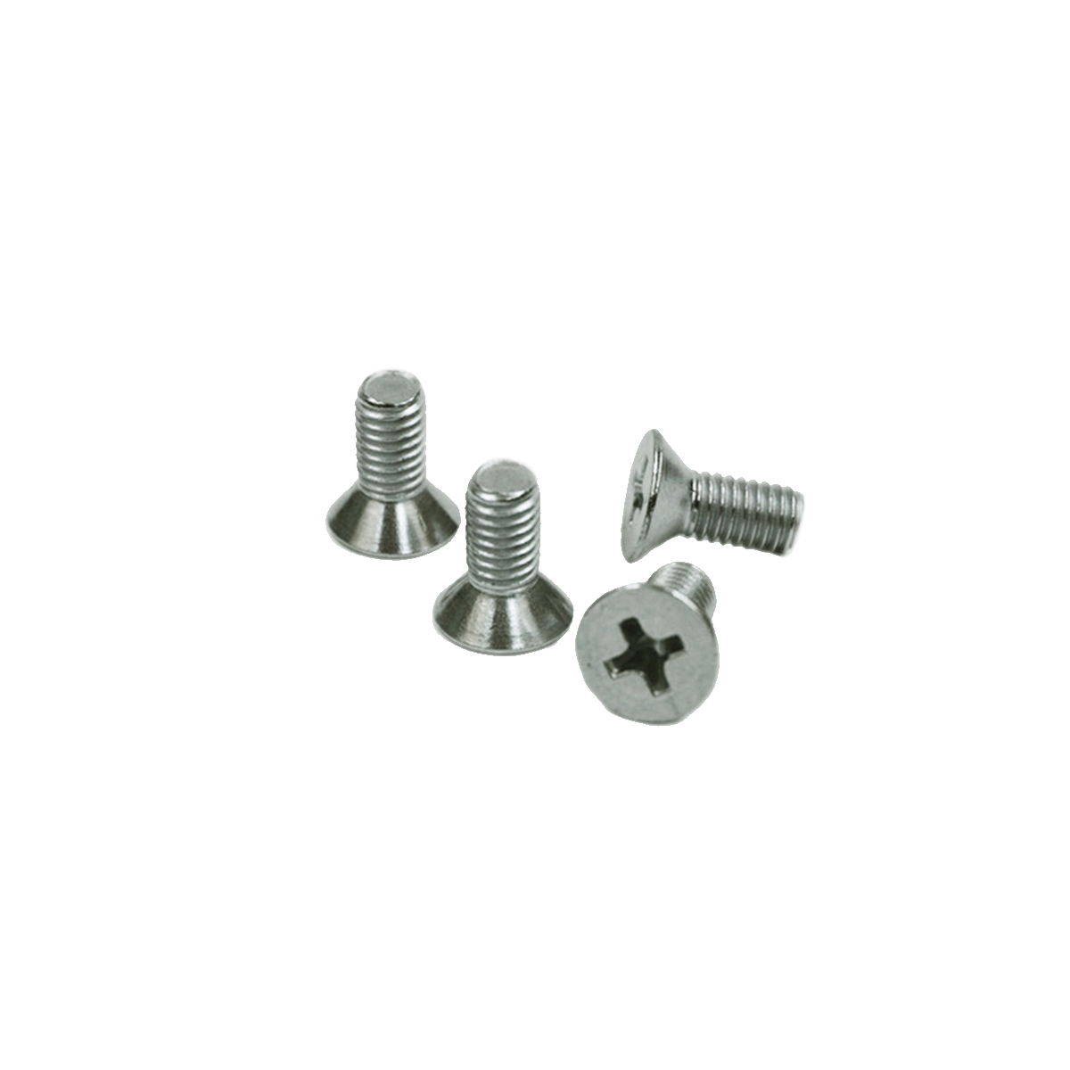 Bottom Plate Screws